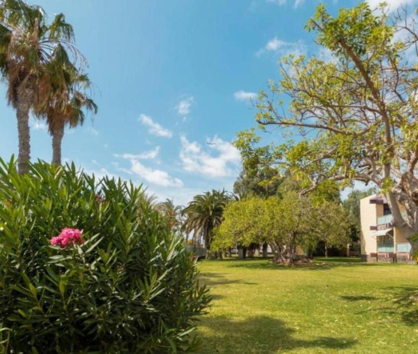 Apartmán Galeria De Arte. Arona  Exteriér fotografie